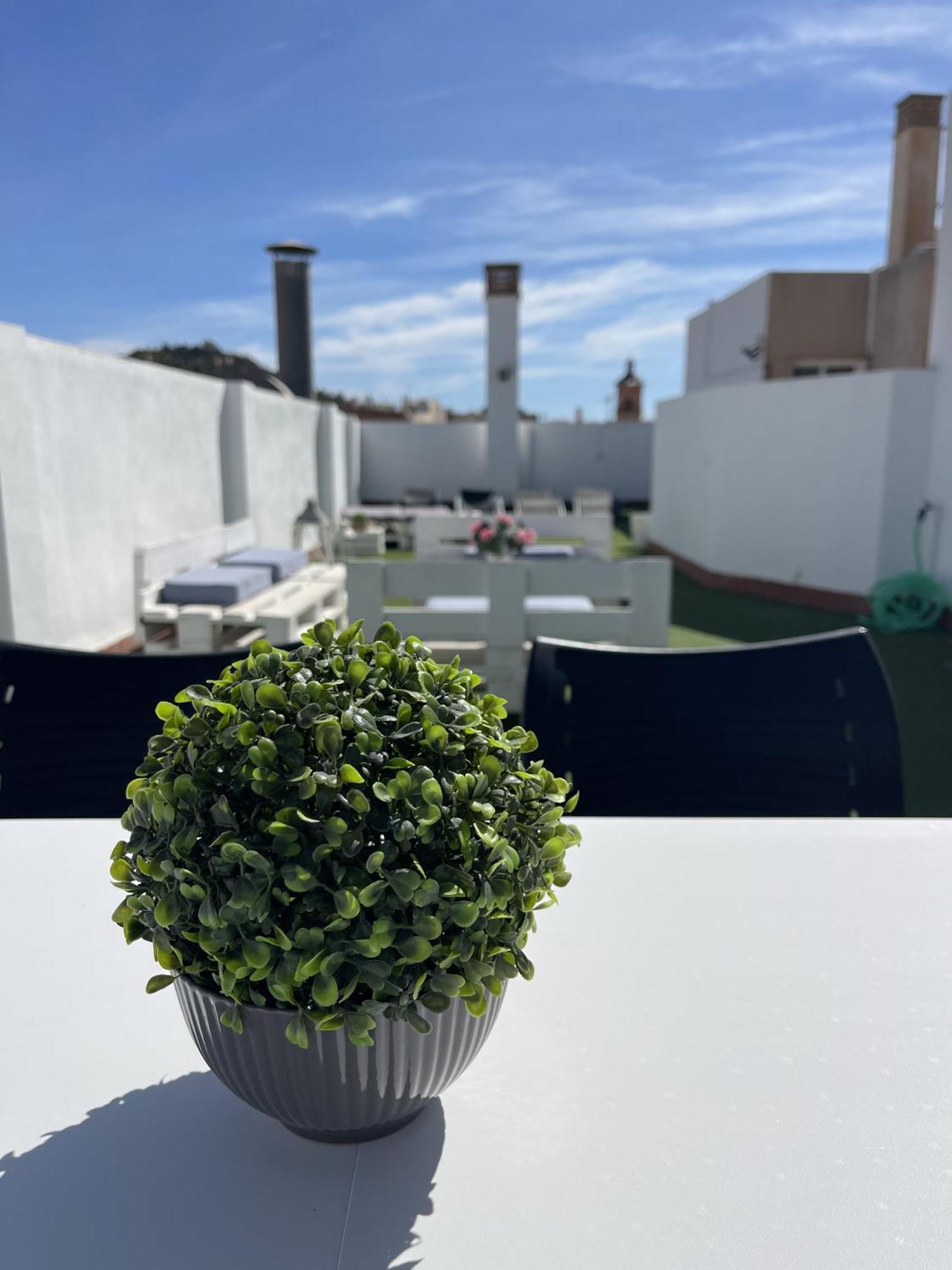 San Rafael Terrace City Centre Málaga Eksteriør bilde
